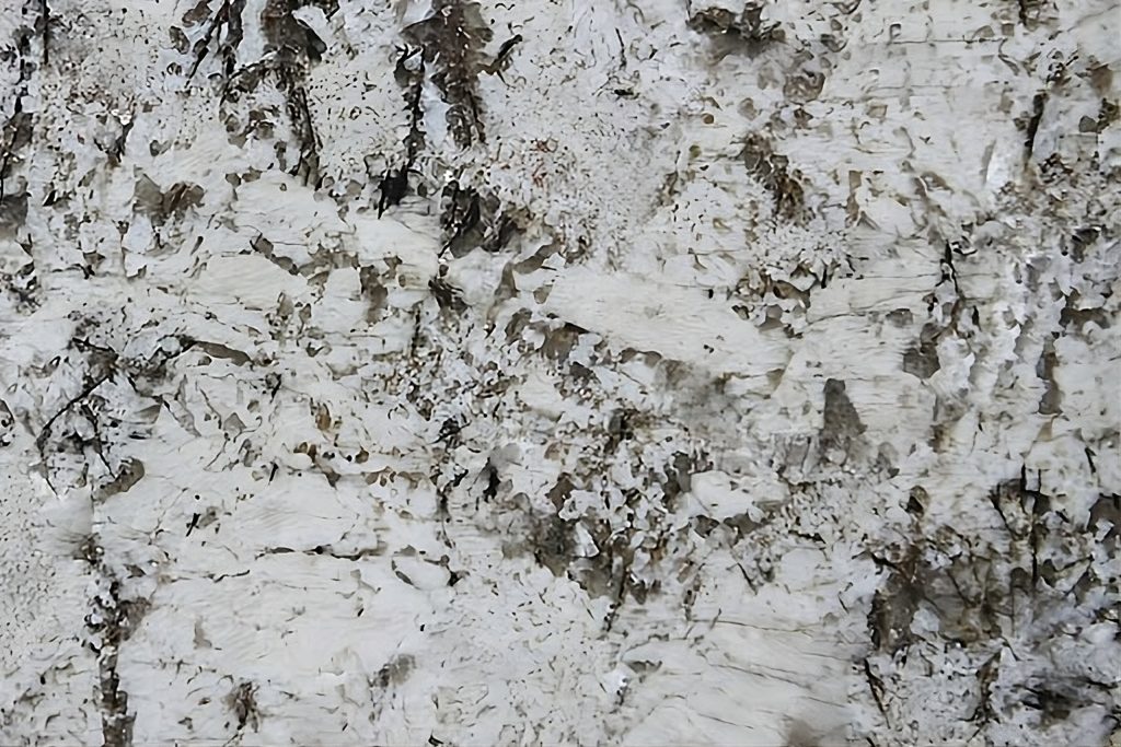 Bianco Antique Granite